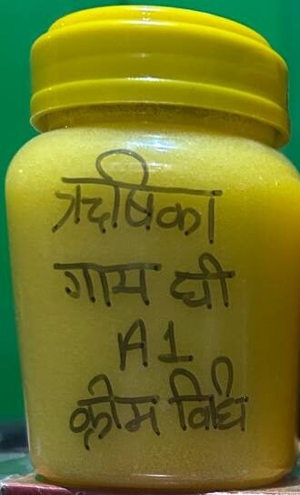 RISHIKA COW GHEE BILONA MATHOD ऋषिका गाय घी बिलोना विधी